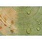 XYLUX imperméabilisant, hydrofuge pour le bois